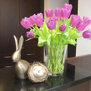 Wohlfuehl-hotel Neu Hotel Heidelberg